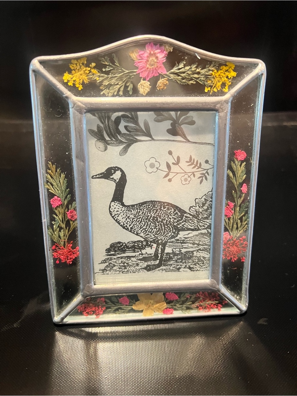 Photo Frame Pressed Dried Flowers Botanical Glass  3.5 x 2.5  Picture